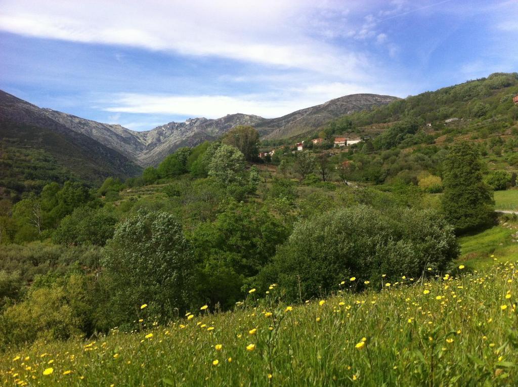 Casa Rural Sierra De Tormantos Guijo de Santa Barbara Luaran gambar