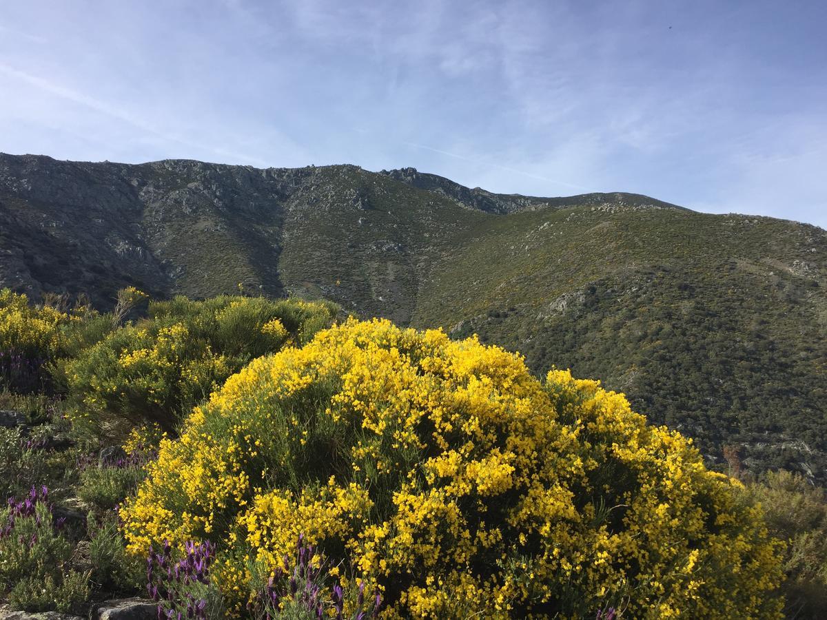 Casa Rural Sierra De Tormantos Guijo de Santa Barbara Luaran gambar